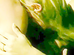 Best homemade Beach, Pornstars xxx scene