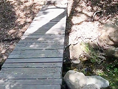 Best homemade Outdoor, Blowjob sex scene