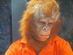 Exotic pornstar in hottest cunnilingus, brunette porn scene