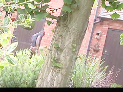 Incredible homemade Black and Ebony, Big Tits sex movie