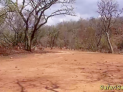 real african safari sex trip