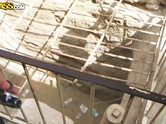 Beautiful Aurita sucking outdoors in Egypt