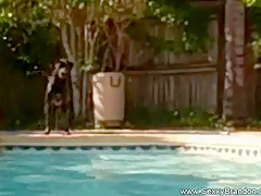 Amateur Couple Fuck In The Pool In Sunny Florida