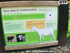 Nessa Devil is caught for further copulation