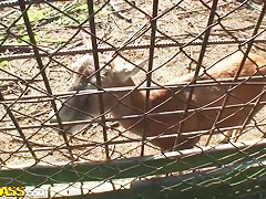 Nessa Devil is caught for further copulation