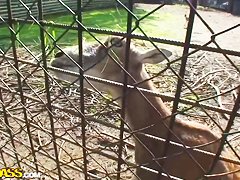 Nessa Devil is caught for further copulation