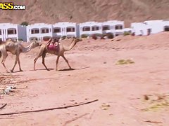 Tourists wanted to have some extreme during their vacation