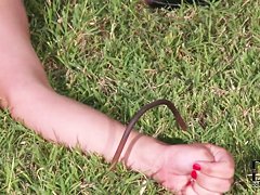 Bizarre garden party. Staring Katarina and Satin Bloom.