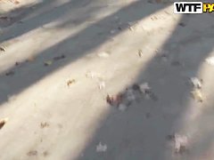 Blonde Dona wants public sex at the park to tame her wild urges