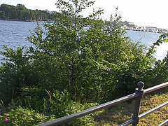 Anjelica in outdoor amateur sex scene with a gal sucking dick