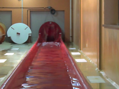 Eva in amateur girl wore xxx stockings while riding a pecker