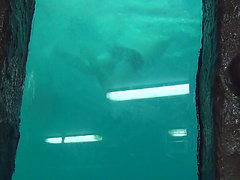 Eva in amateur girl wore xxx stockings while riding a pecker