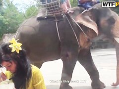 Rita and her boyfriend make some new home video