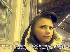 Picked up Hungarian babe gets fucked