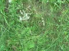 Monica B. in sexy girl gives head while in a public park