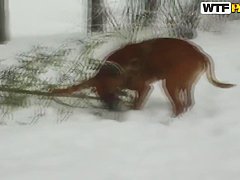 Amateur porno video with Lory