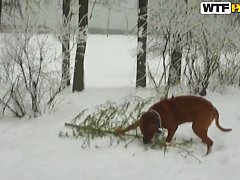 Amateur porno video with Lory