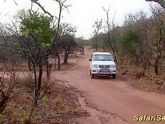 hot sex at my african safari trip
