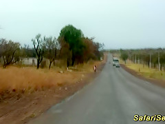 hot sex at my african safari trip