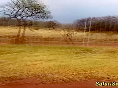 hot sex at my african safari trip