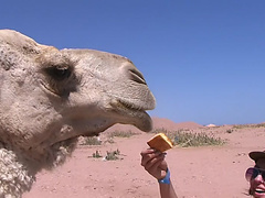 Aurita in porn travel video with a pair of lovers having sex