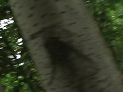 Layla in beautiful minx got her twat fucked in the park