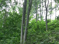 Autumn & Grace & Bianca & Olie & Savannah in outdoor orgy movie with hot student chicks