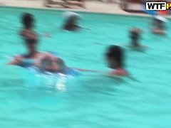 Bunch of chubby female asses swim in the pool