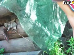 Cowgirl Mila strikes lad's cock with her pierced tongue