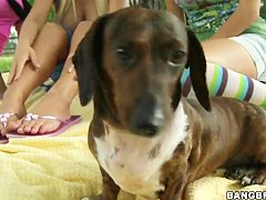 Hot booby show of three nasty lesbian sluts!