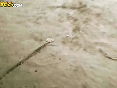 Pretty young Nesty does blowjob in public