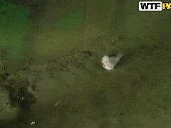 Pretty young Nesty does blowjob in public