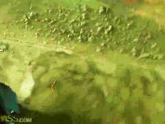 Pretty young Nesty does blowjob in public