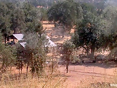 Incredible outdoor, fetish sex scene with exotic pornstars Tyla Wynn, Annie Cruz and Sandra Romain from Whippedass