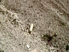 Voyeur caught two couples in action