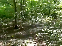 Fuck in wood