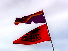 Fabulous pornstar in horny group sex, college porn video