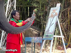 Jamie Marleigh in Jamie Gets To Meet Giraffes Face To Face To Feed Them - ATKGirlfriends