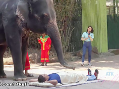 Jamie Marleigh in Jamie Gets To Meet Giraffes Face To Face To Feed Them - ATKGirlfriends
