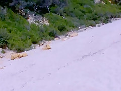 Horny girls and hot sex on beach