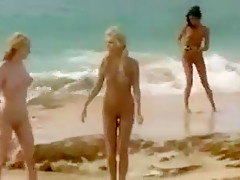 Nude college girl beach