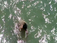 Group of nudists on a big pile