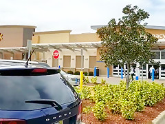 Cindy poulin paris rose of tampa florida