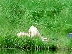 Older guy fucks a teen girl by the river