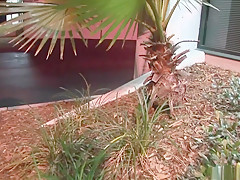 Fabulous pornstar in incredible brunette, softcore sex scene