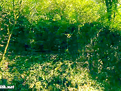 Jeny Smith naked adventures.
