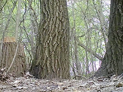 Voyeur pissing 165