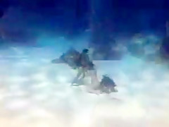 Asian scuba sex