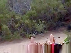 Nude couples on beach