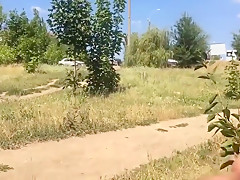 Public dick flash compilation